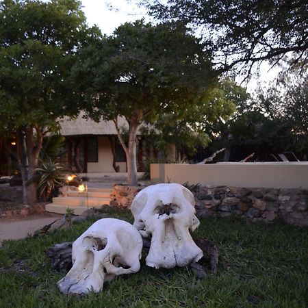 Kambaku Safari Lodge Timbavati Game Reserve Eksteriør bilde