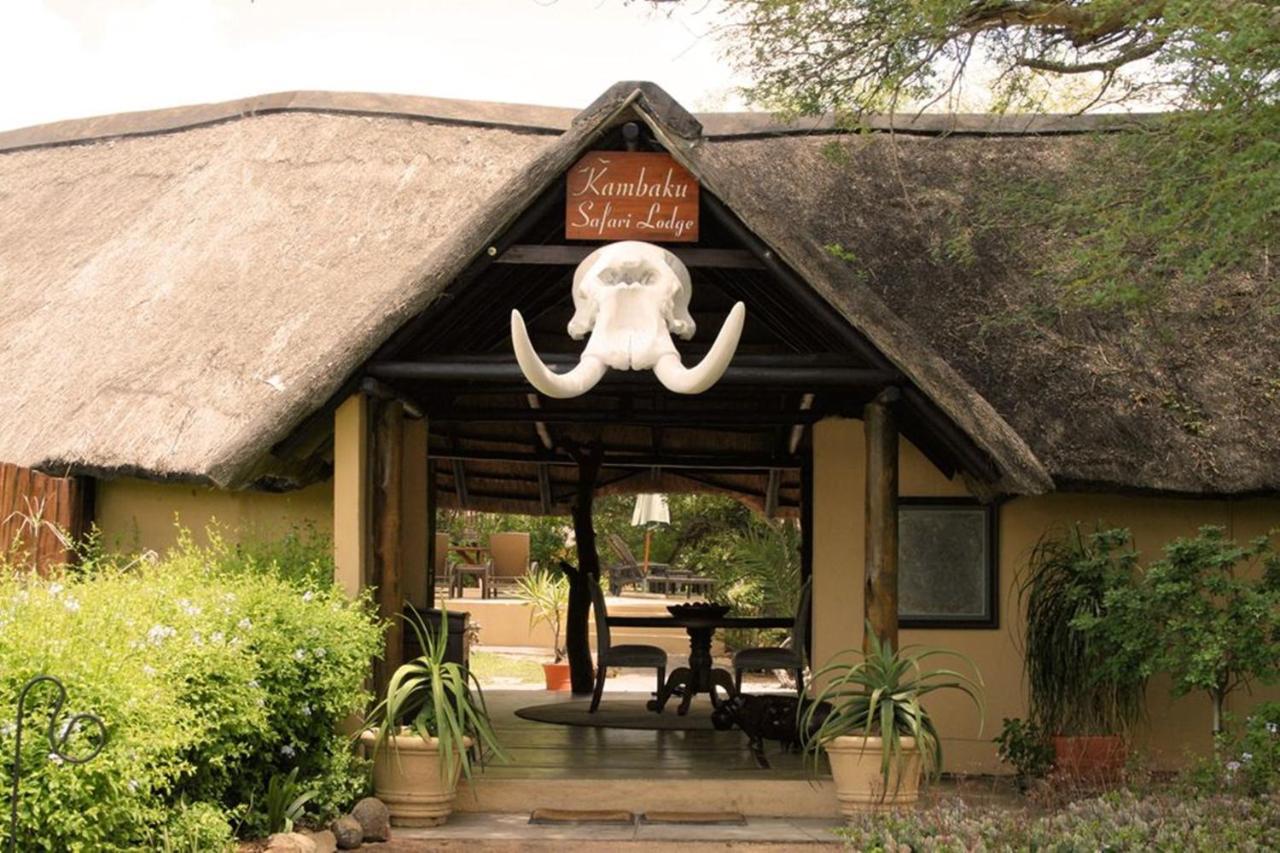 Kambaku Safari Lodge Timbavati Game Reserve Eksteriør bilde
