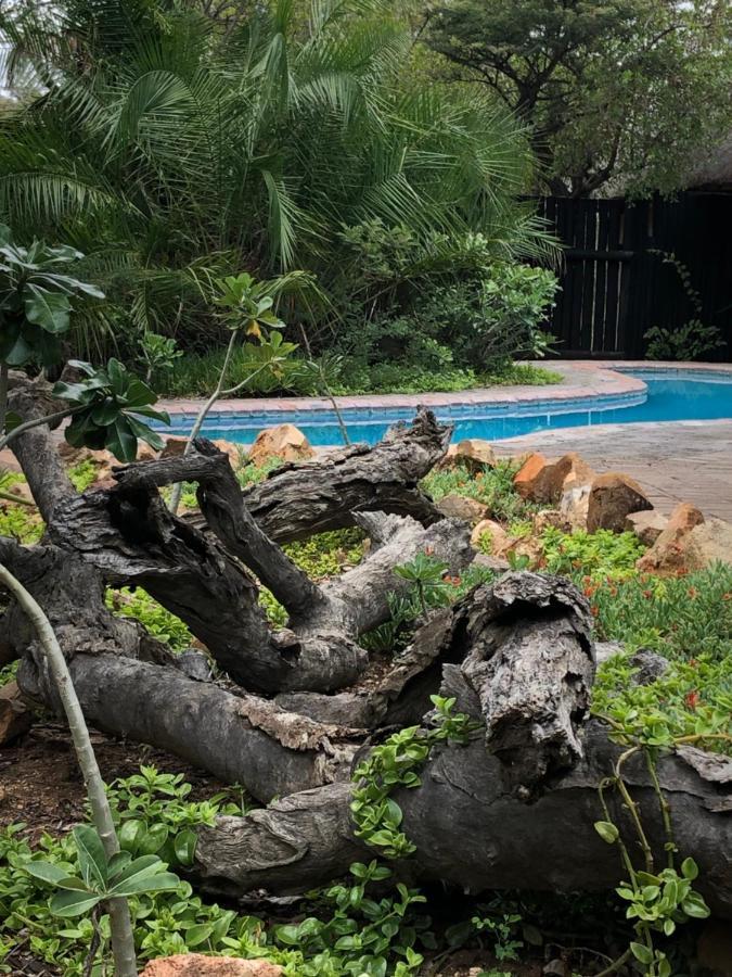 Kambaku Safari Lodge Timbavati Game Reserve Eksteriør bilde