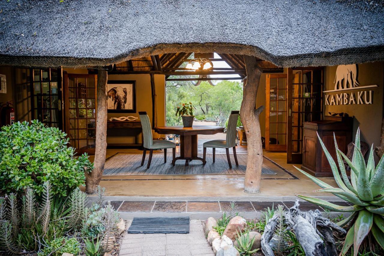 Kambaku Safari Lodge Timbavati Game Reserve Eksteriør bilde