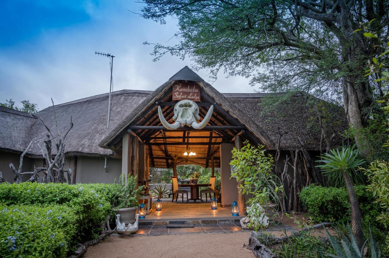 Kambaku Safari Lodge Timbavati Game Reserve Eksteriør bilde