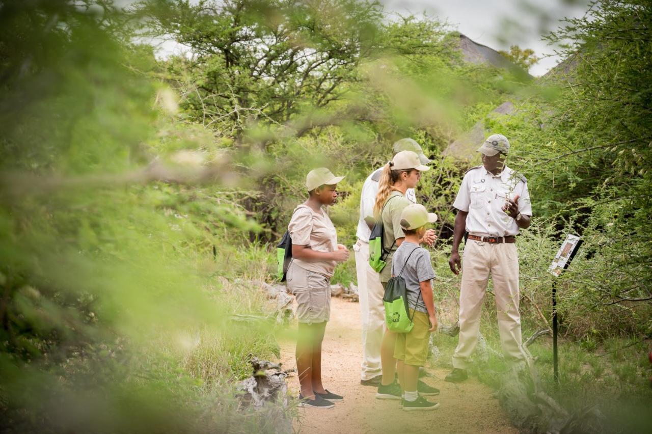 Kambaku Safari Lodge Timbavati Game Reserve Eksteriør bilde