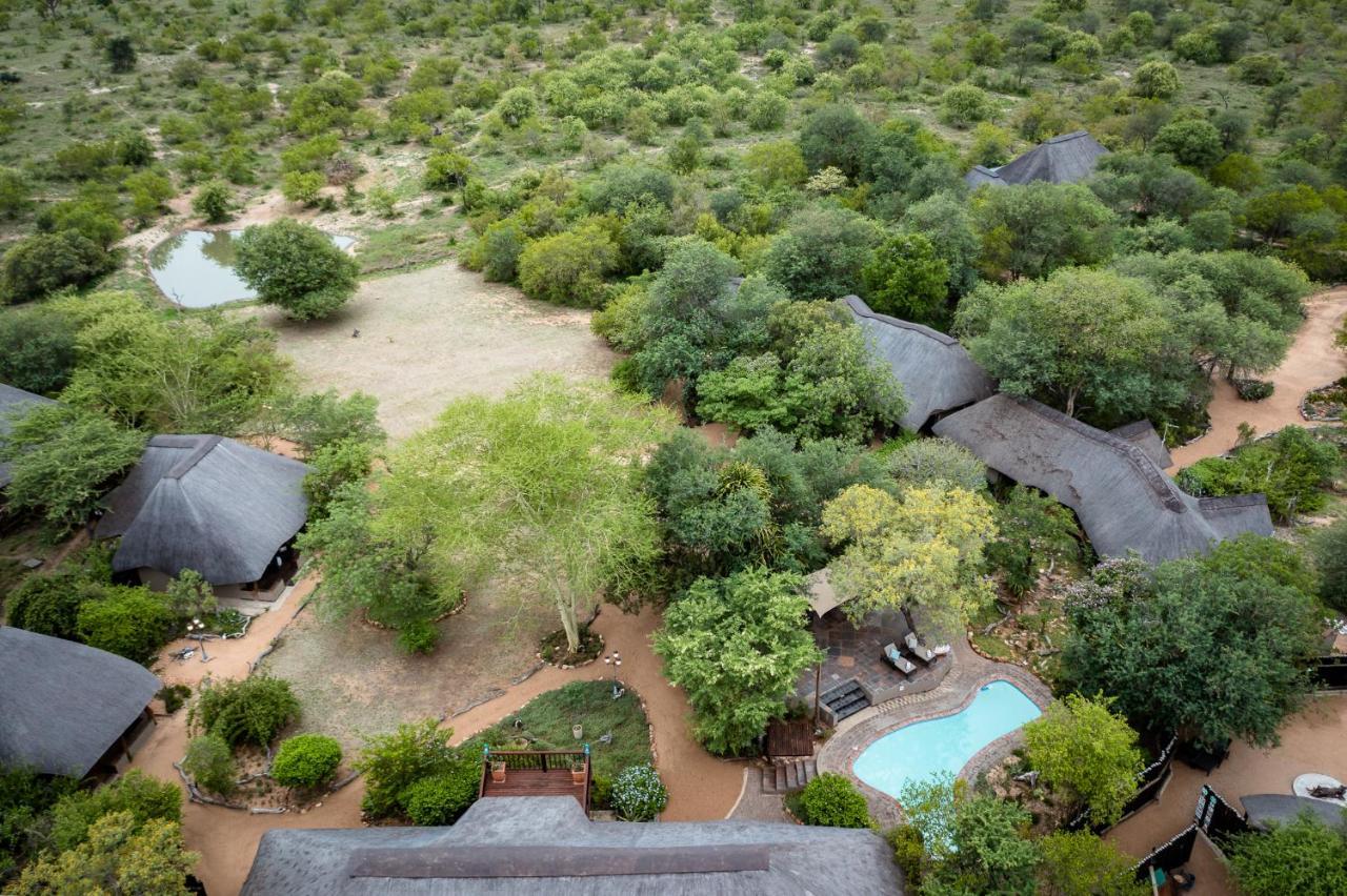 Kambaku Safari Lodge Timbavati Game Reserve Eksteriør bilde