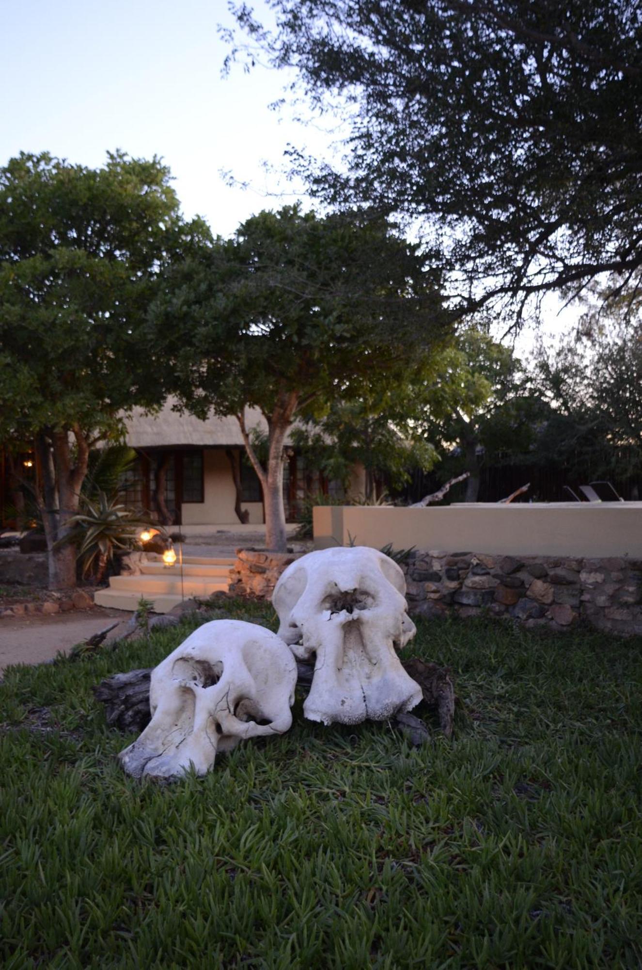 Kambaku Safari Lodge Timbavati Game Reserve Eksteriør bilde