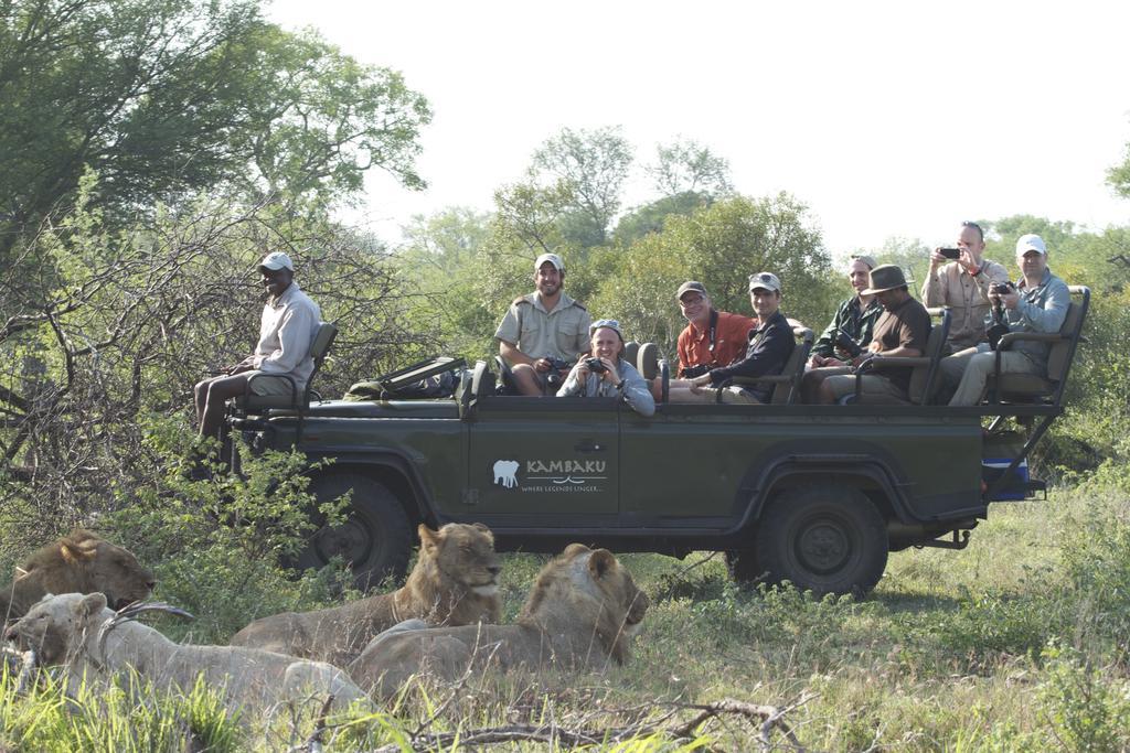 Kambaku Safari Lodge Timbavati Game Reserve Eksteriør bilde
