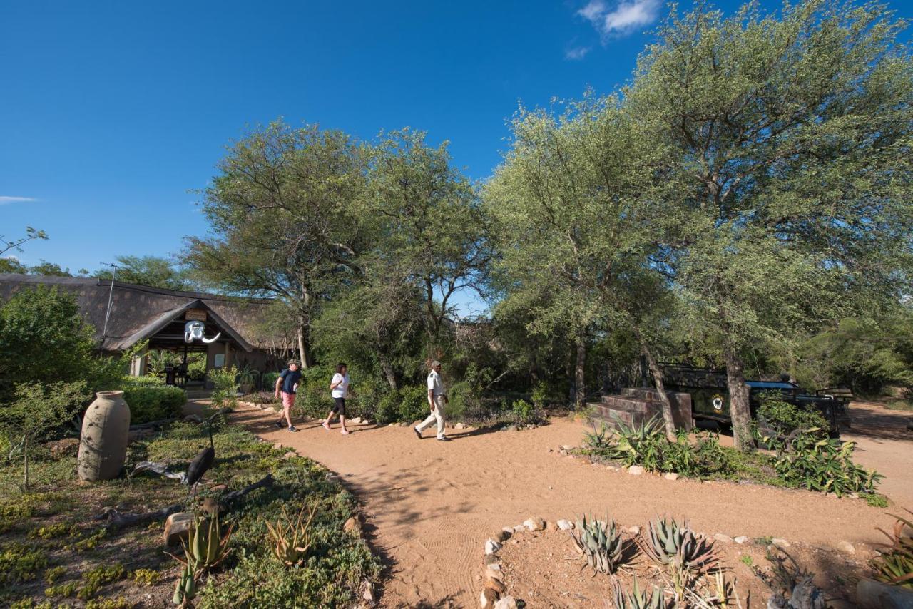 Kambaku Safari Lodge Timbavati Game Reserve Eksteriør bilde